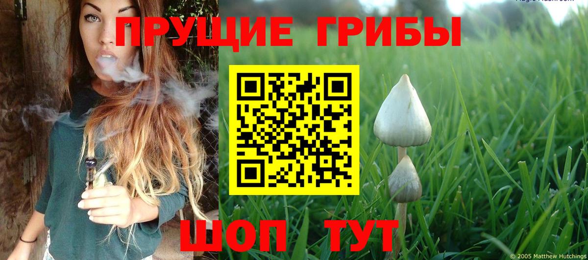 Кыштым  Галлюциногенные грибы Magic Shrooms  Вход с VPN 